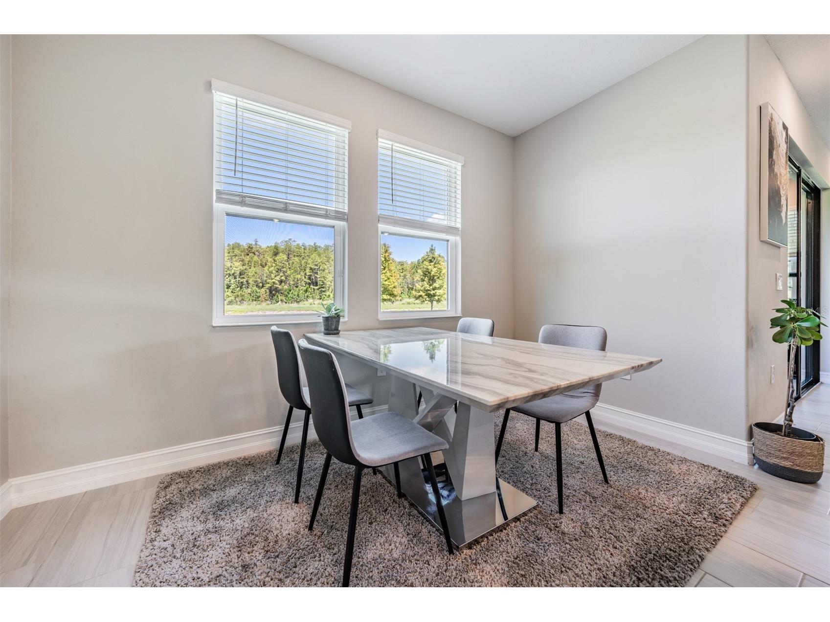 4849 Isola Court Wesley Chapel FL 33543 TB8478155 image13