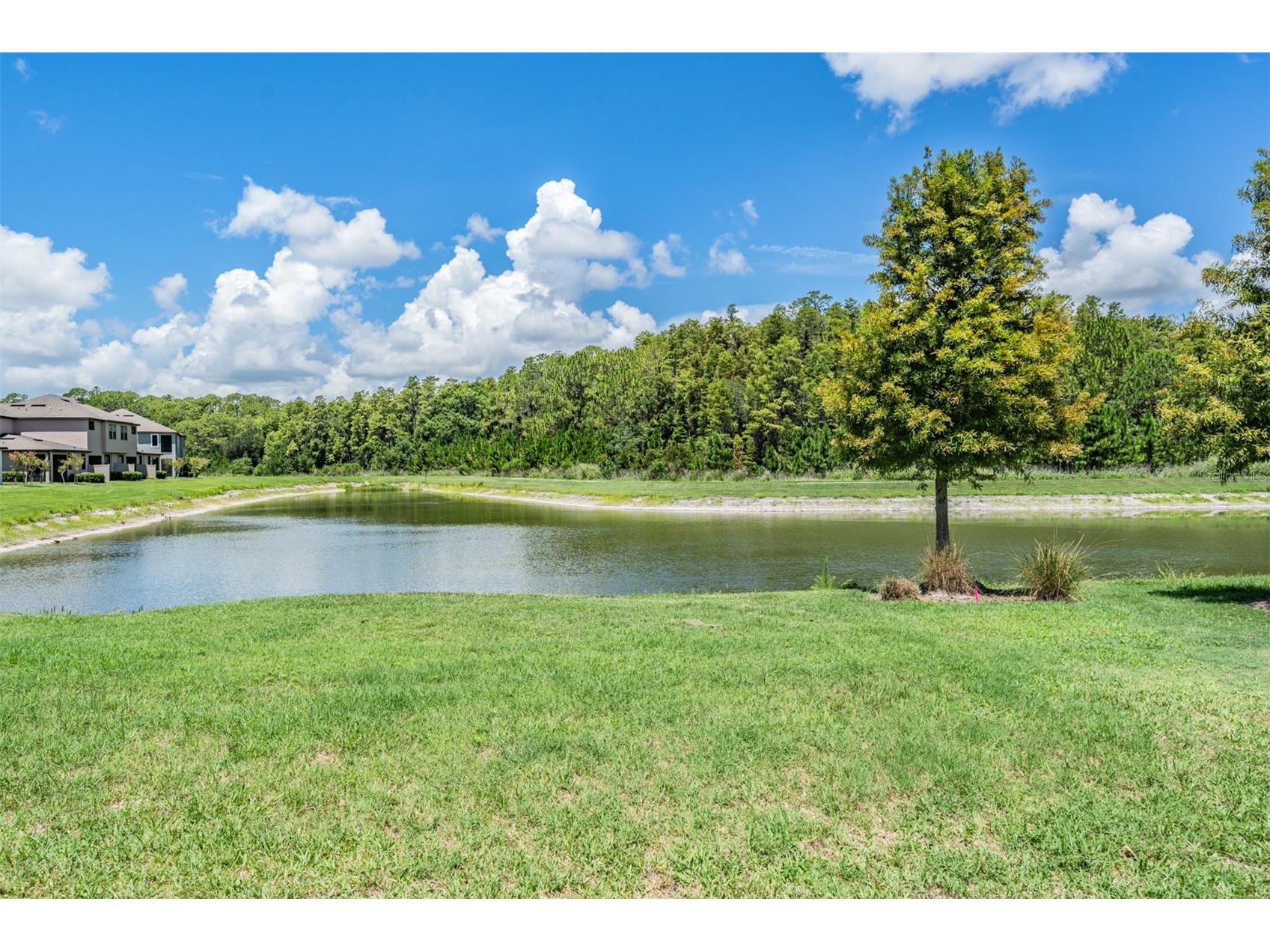 4849 Isola Court Wesley Chapel FL 33543 TB8478155 image25