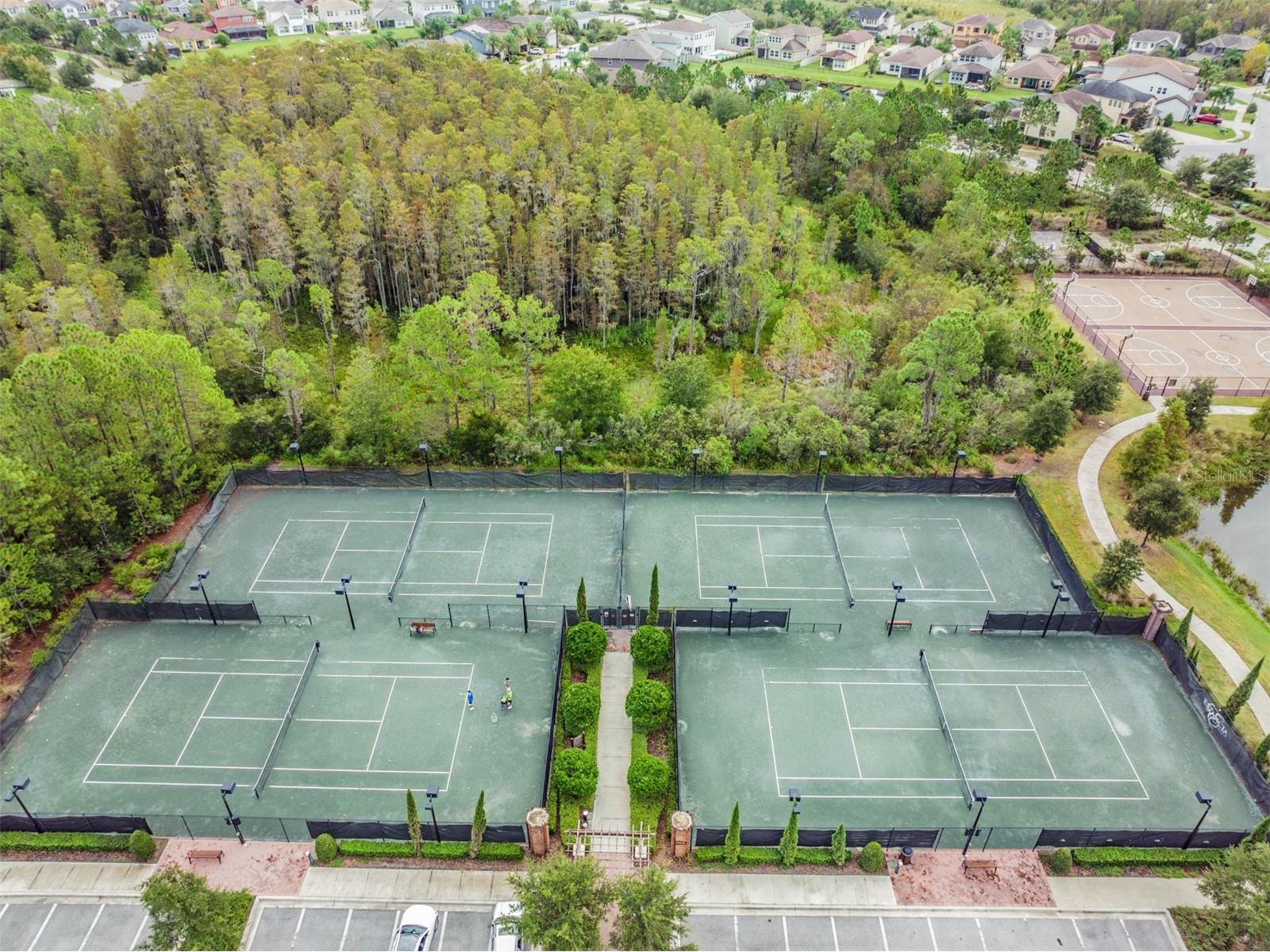 4849 Isola Court Wesley Chapel FL 33543 TB8478155 image30