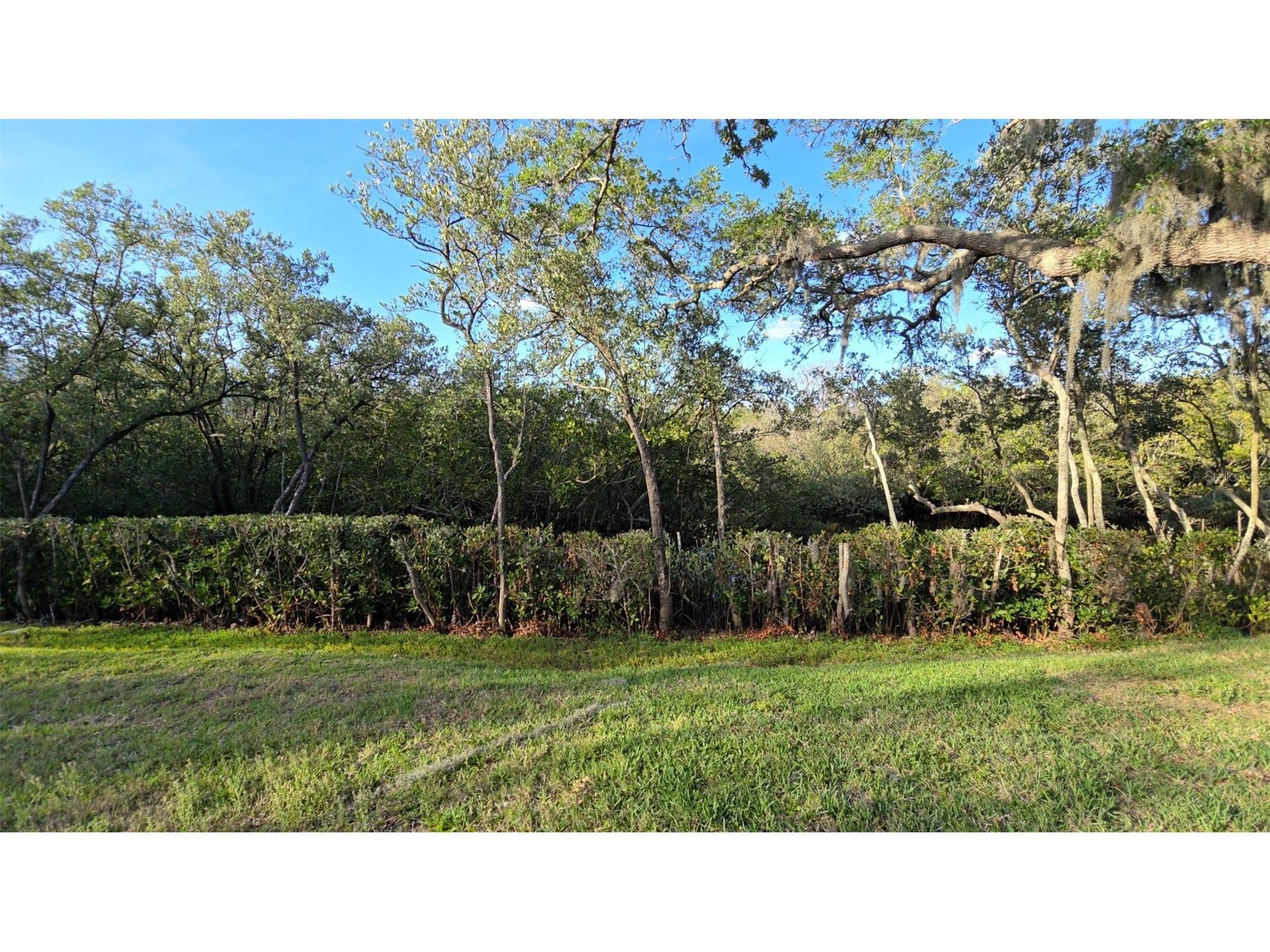 4849 Onyx Lane #101 New Port Richey FL 34652 TB8498849 image14