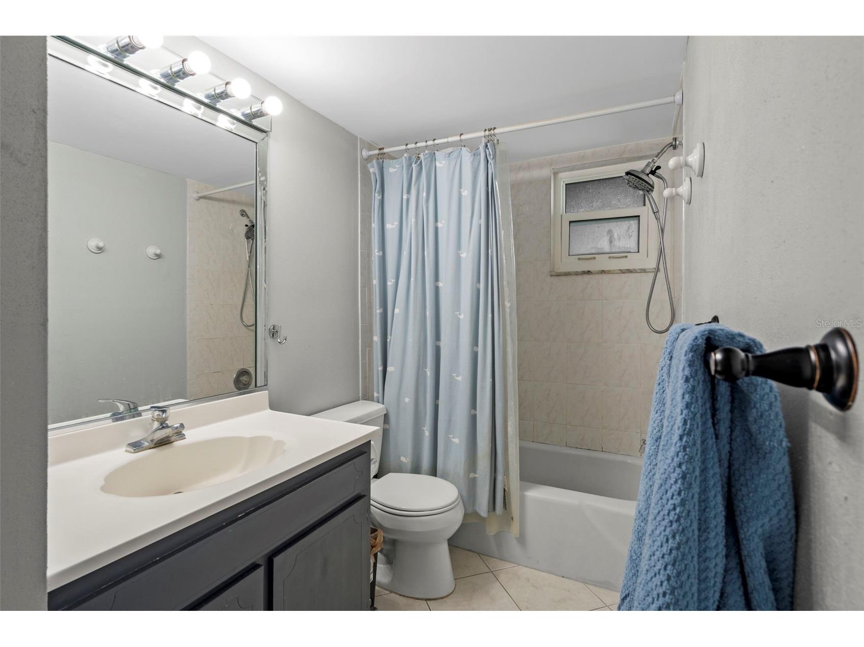 4849 Onyx Lane #204 New Port Richey FL 34652 W7887698 image14