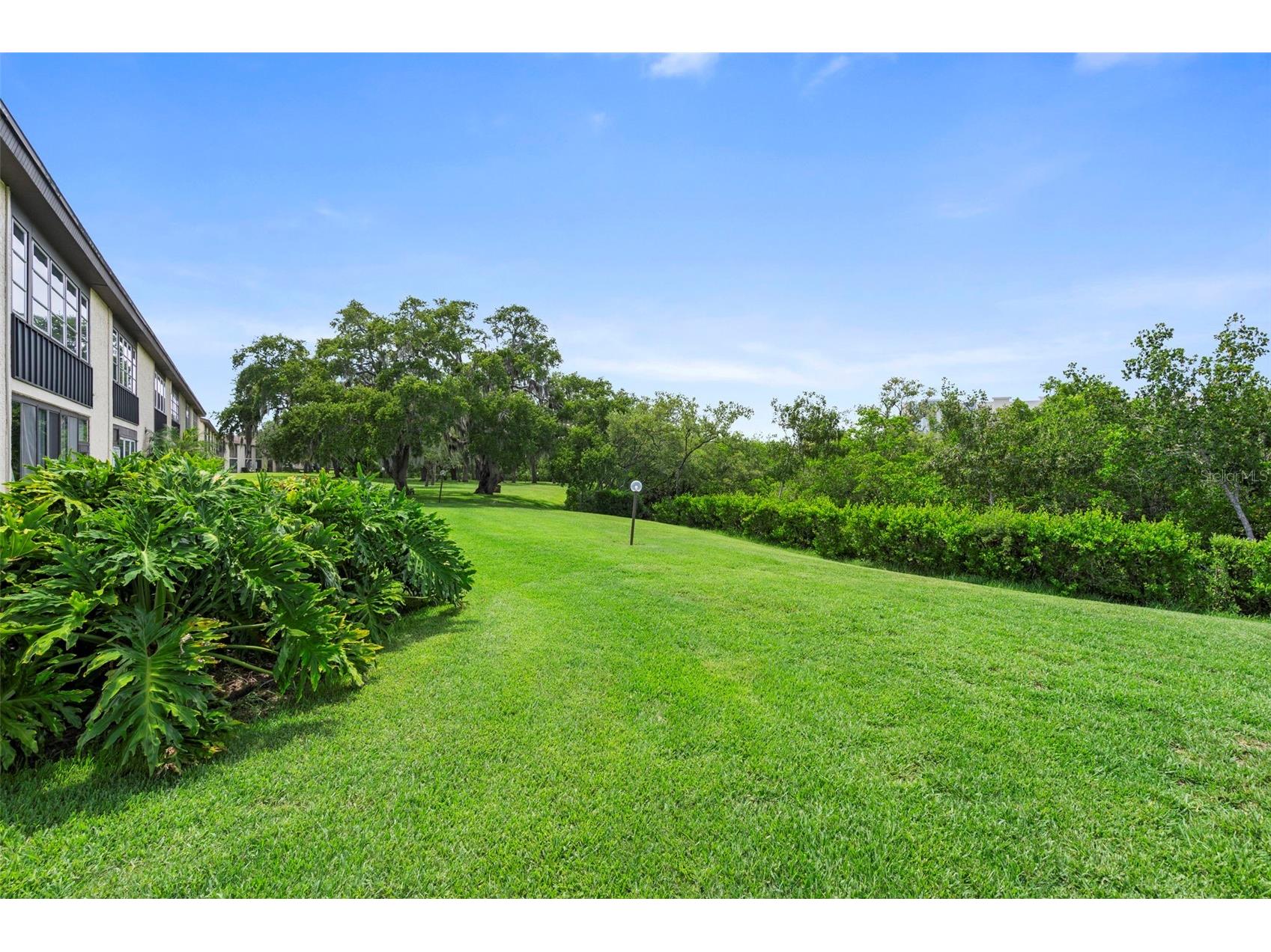 4849 Onyx Lane #204 New Port Richey FL 34652 W7887698 image16