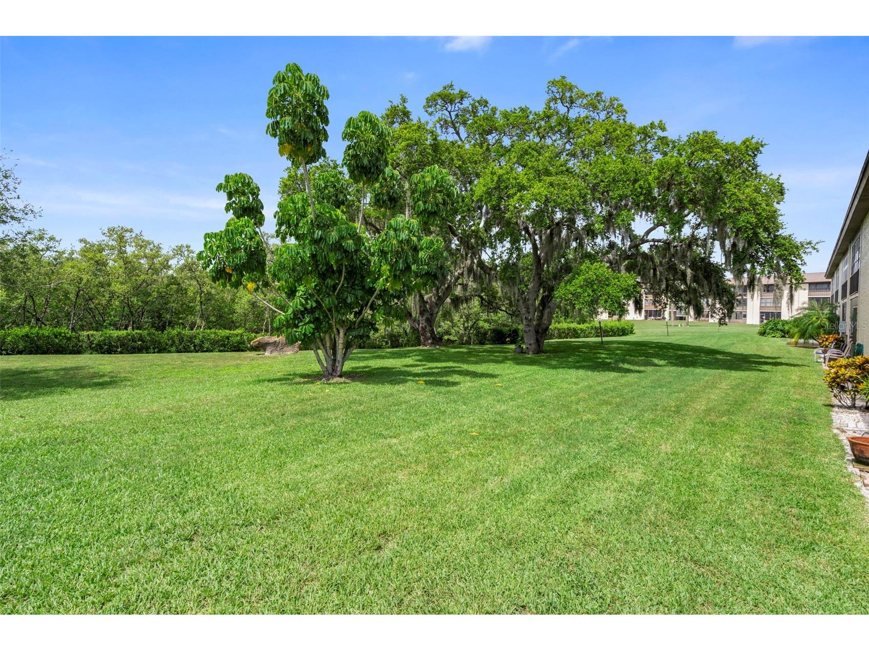 4849 Onyx Lane #204 New Port Richey FL 34652 W7887698 image17