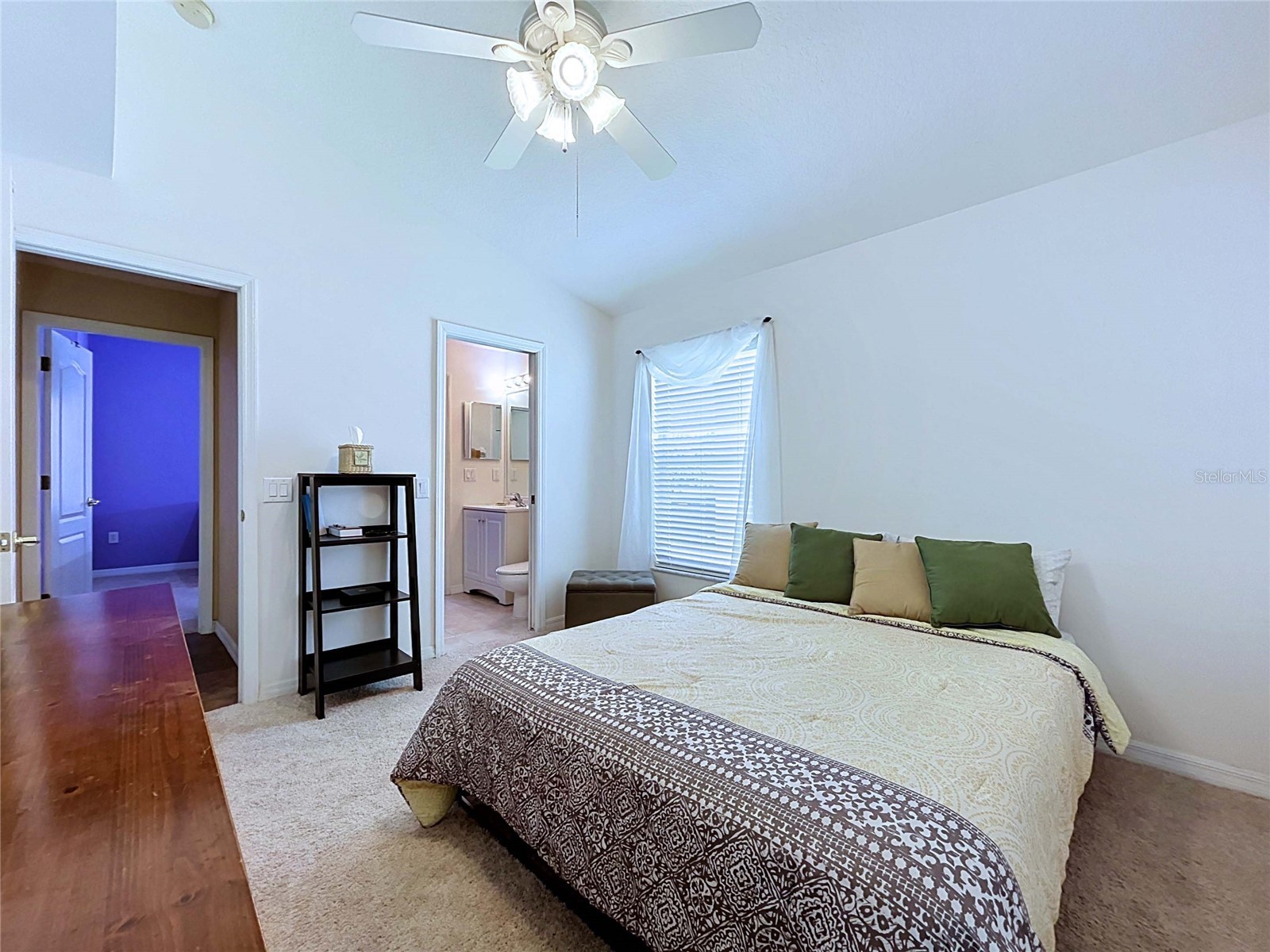 4849 Wessex Way Land O Lakes FL 34639 TB8523511 image21