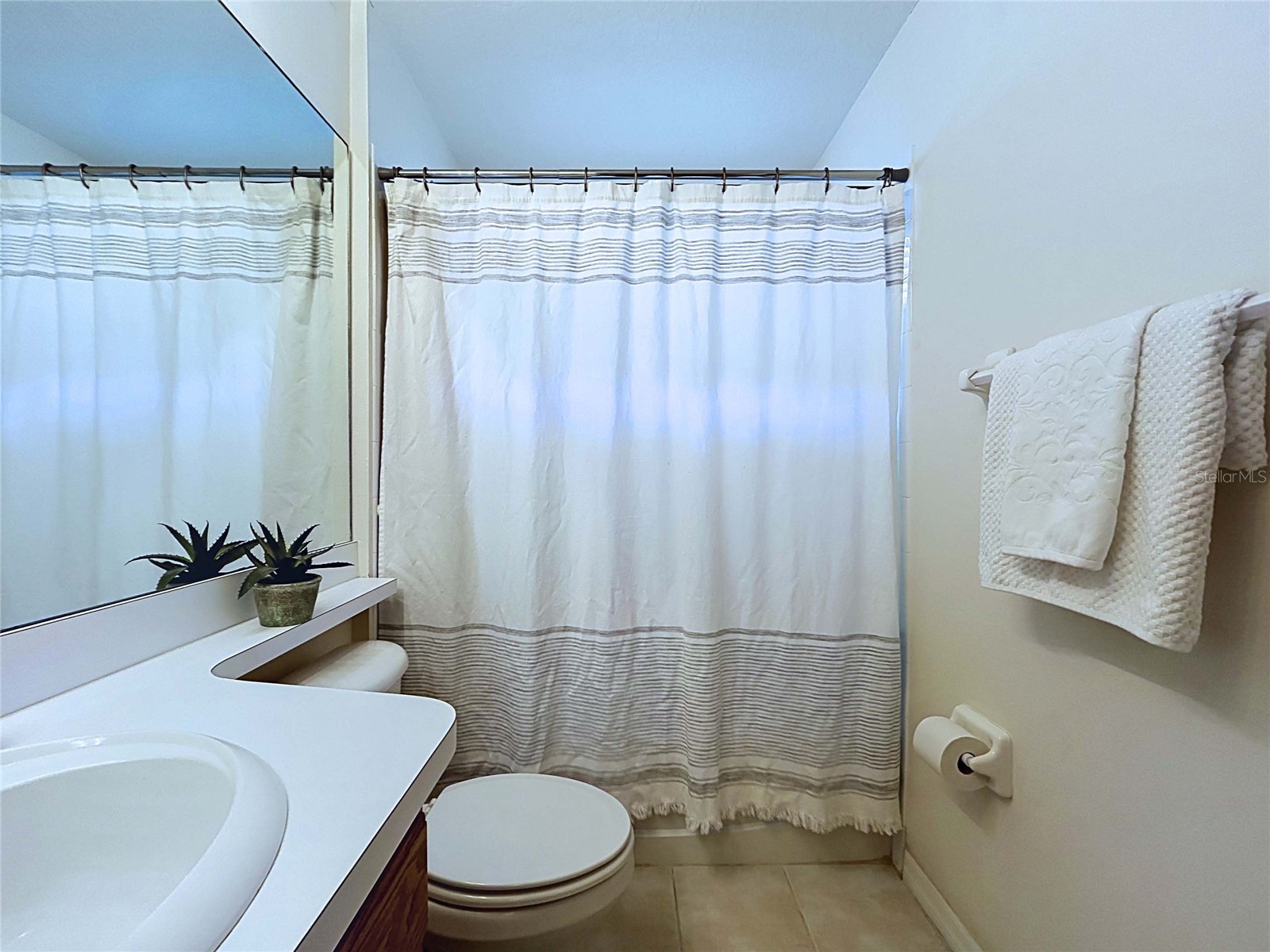 4849 Wessex Way Land O Lakes FL 34639 TB8523511 image29