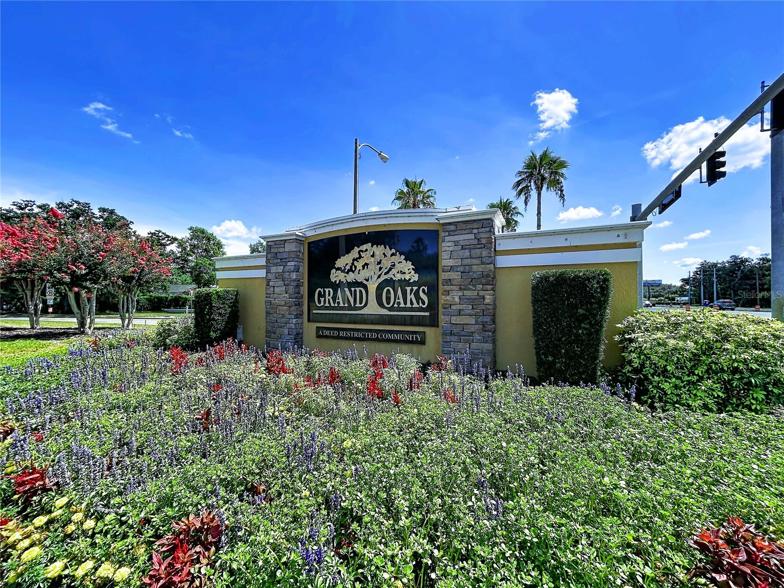 4849 Wessex Way Land O Lakes FL 34639 TB8523511 image36