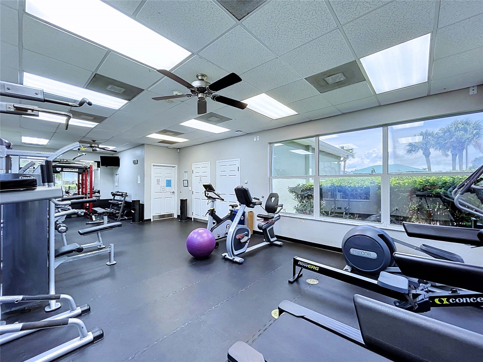 4849 Wessex Way Land O Lakes FL 34639 TB8523511 image38