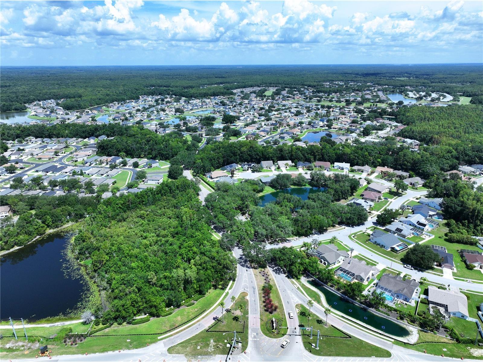 4849 Wessex Way Land O Lakes FL 34639 TB8523511 image49