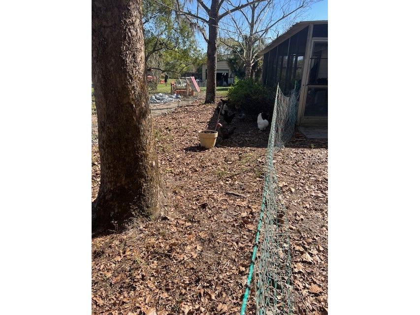 485 Dickson Avenue Osteen FL 32764 V4941307 image19