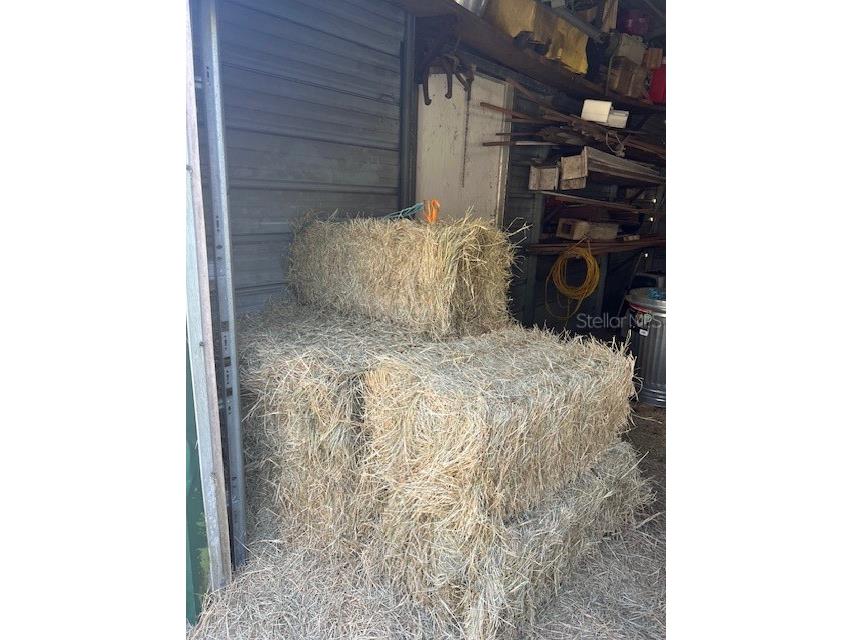 485 Dickson Avenue Osteen FL 32764 V4941307 image22