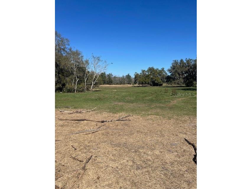 485 Dickson Avenue Osteen FL 32764 V4941307 image27