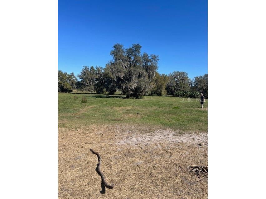 485 Dickson Avenue Osteen FL 32764 V4941307 image28