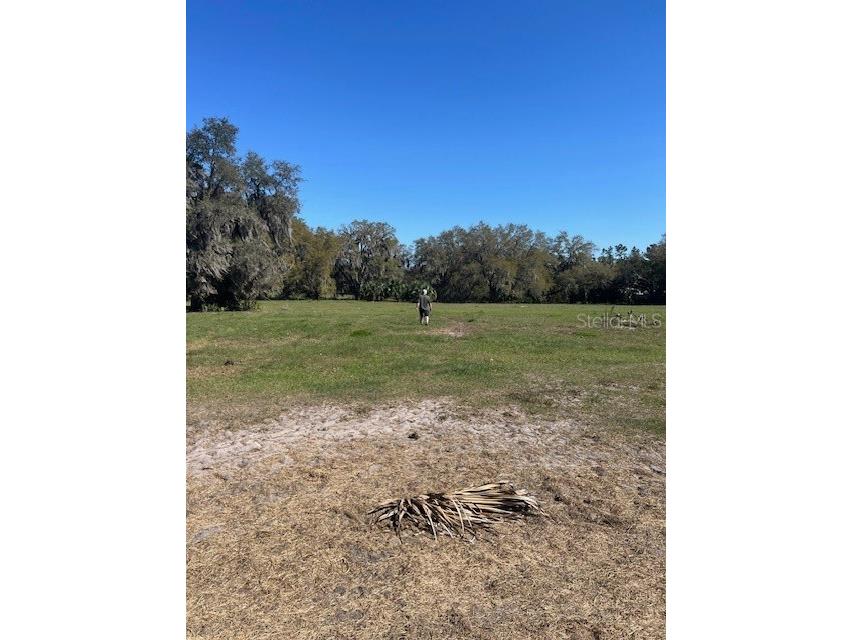 485 Dickson Avenue Osteen FL 32764 V4941307 image29