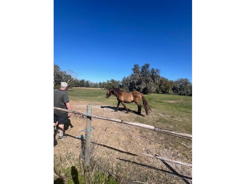 485 Dickson Avenue Osteen FL 32764 V4941307 image37