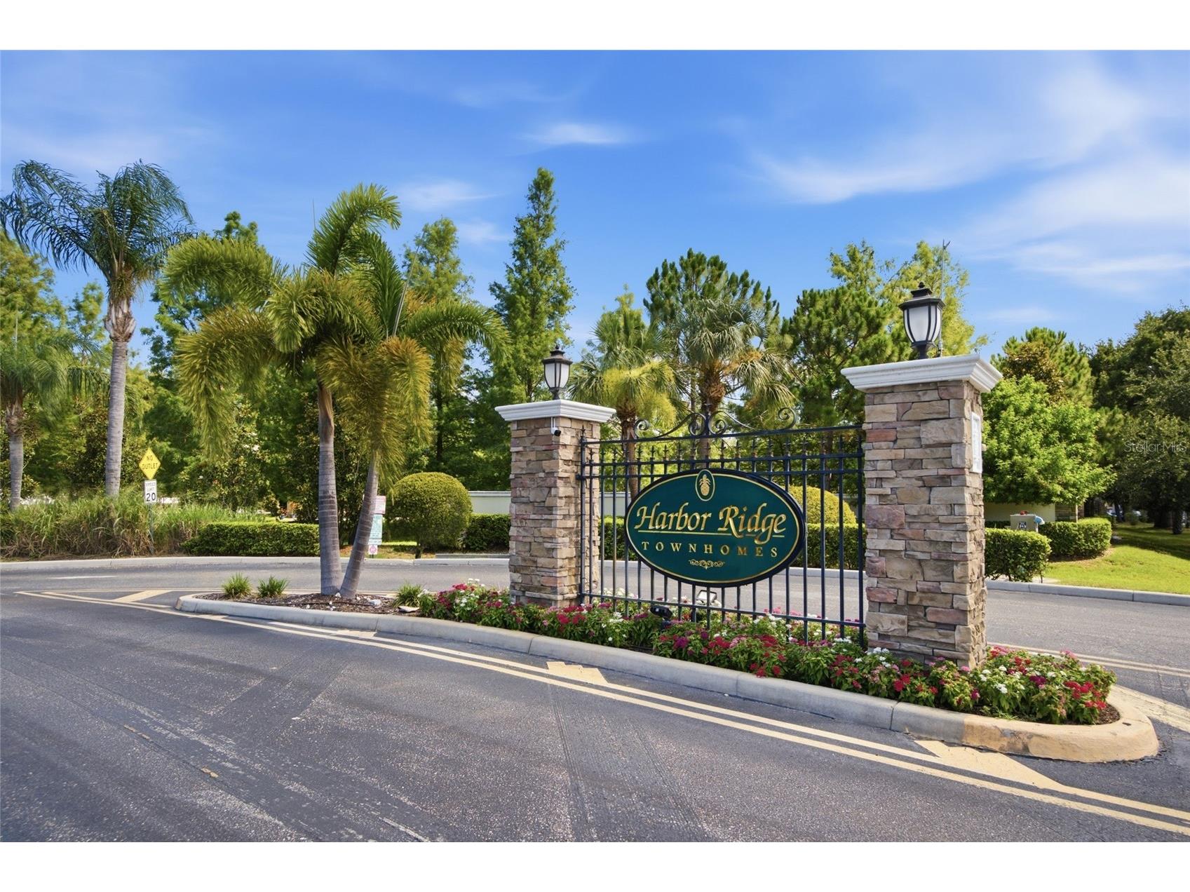 485 Harbor Ridge Drive Palm Harbor FL 34683 TB8516650 image36