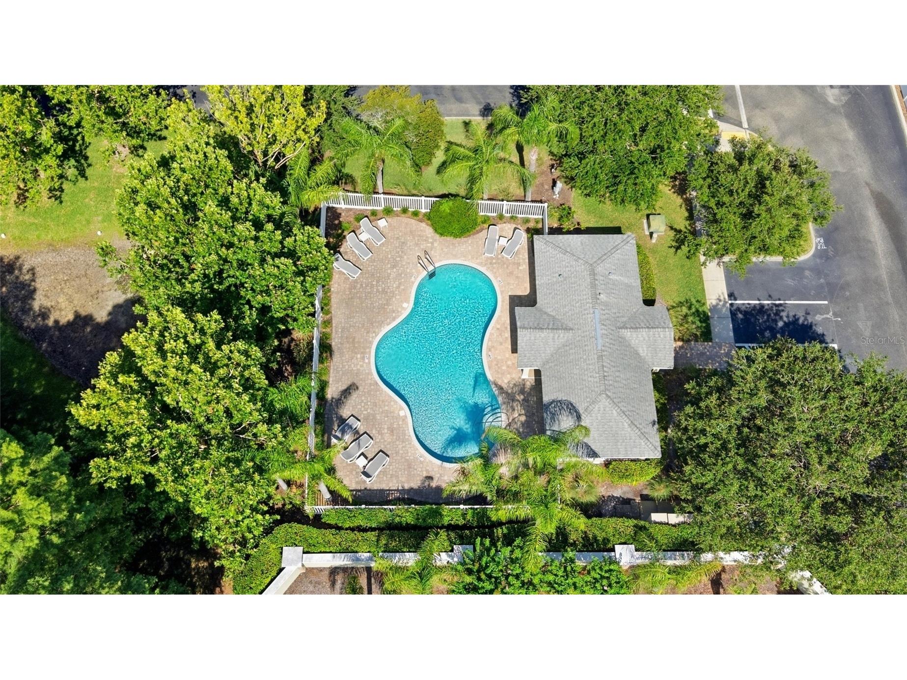 485 Harbor Ridge Drive Palm Harbor FL 34683 TB8516650 image39