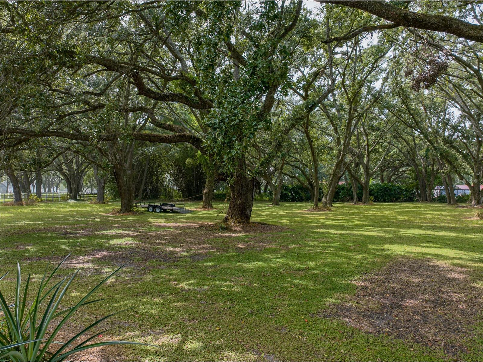 4850 Old Berkley Road Auburndale FL 33823 L4950026 image32