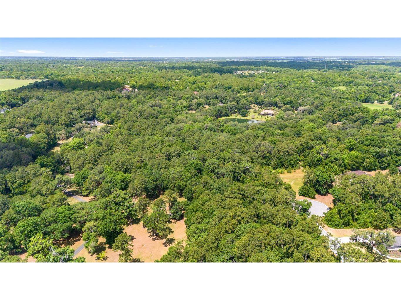 4850 SE 11th Avenue Ocala FL 34480 OM677365 image20