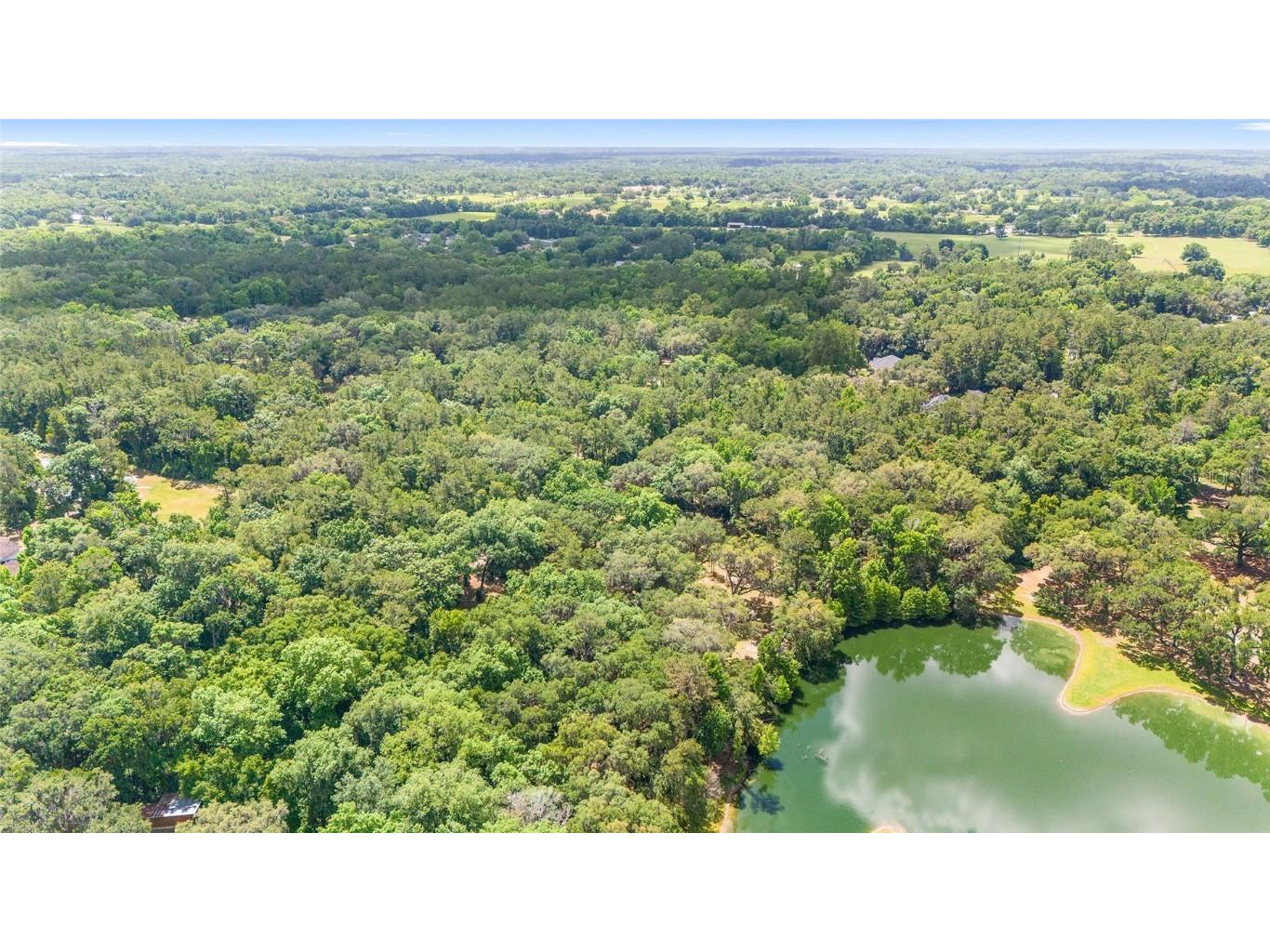 4850 SE 11th Avenue Ocala FL 34480 OM677365 image21