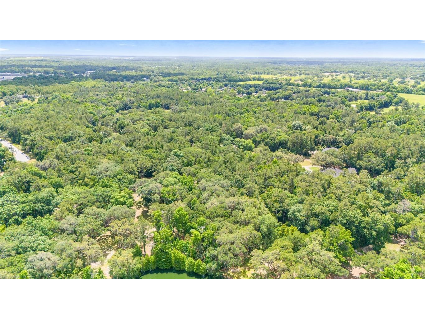 4850 SE 11th Avenue Ocala FL 34480 OM677365 image23