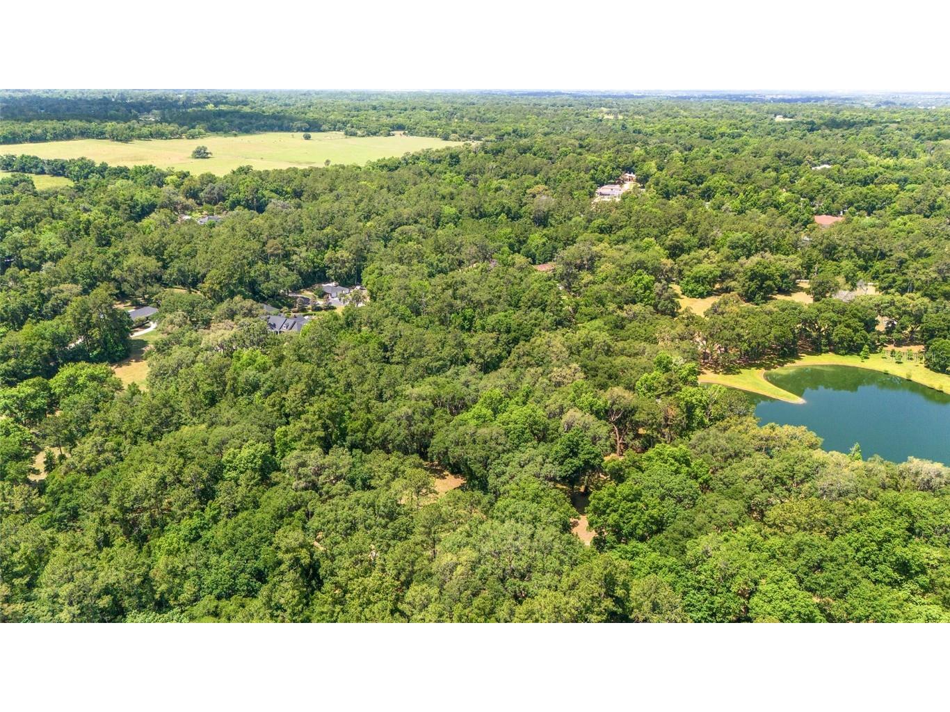 4850 SE 11th Avenue Ocala FL 34480 OM677365 image26