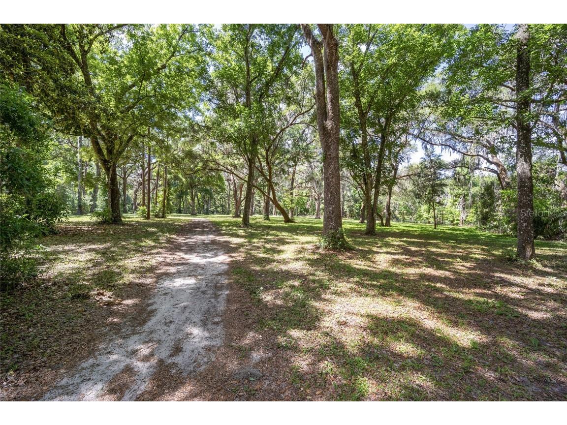 4850 SE 11th Avenue Ocala FL 34480 OM677365 image4