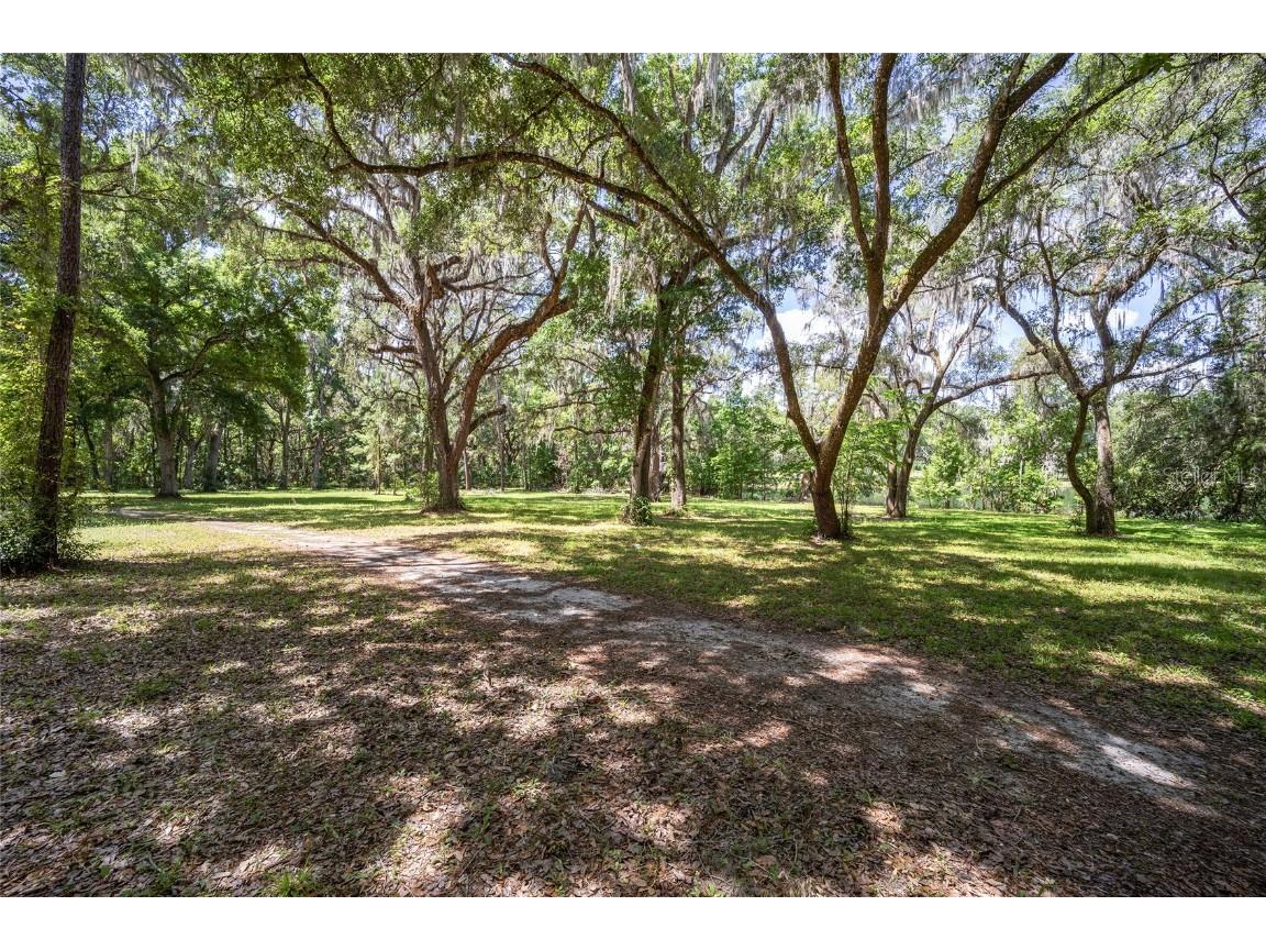 4850 SE 11th Avenue Ocala FL 34480 OM677365 image6