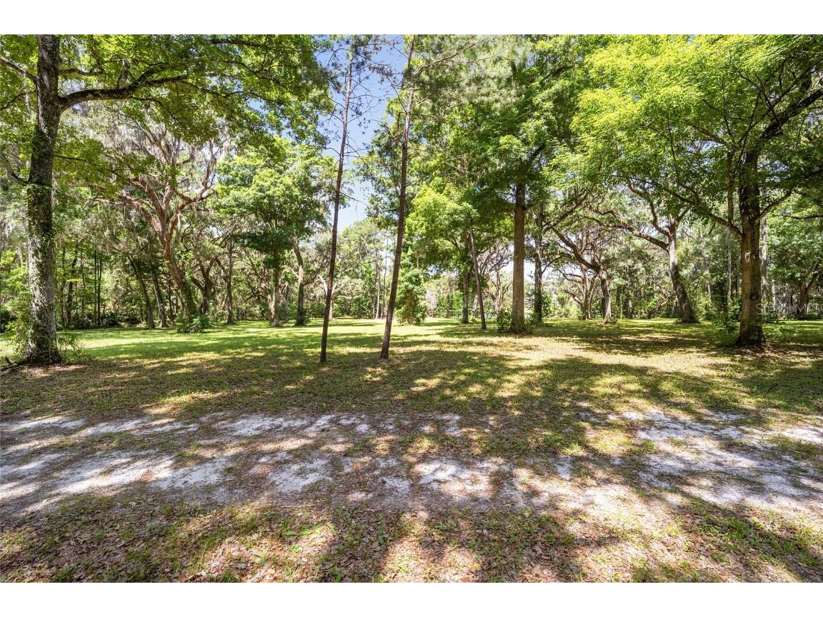4850 SE 11th Avenue Ocala FL 34480 OM677365 image9