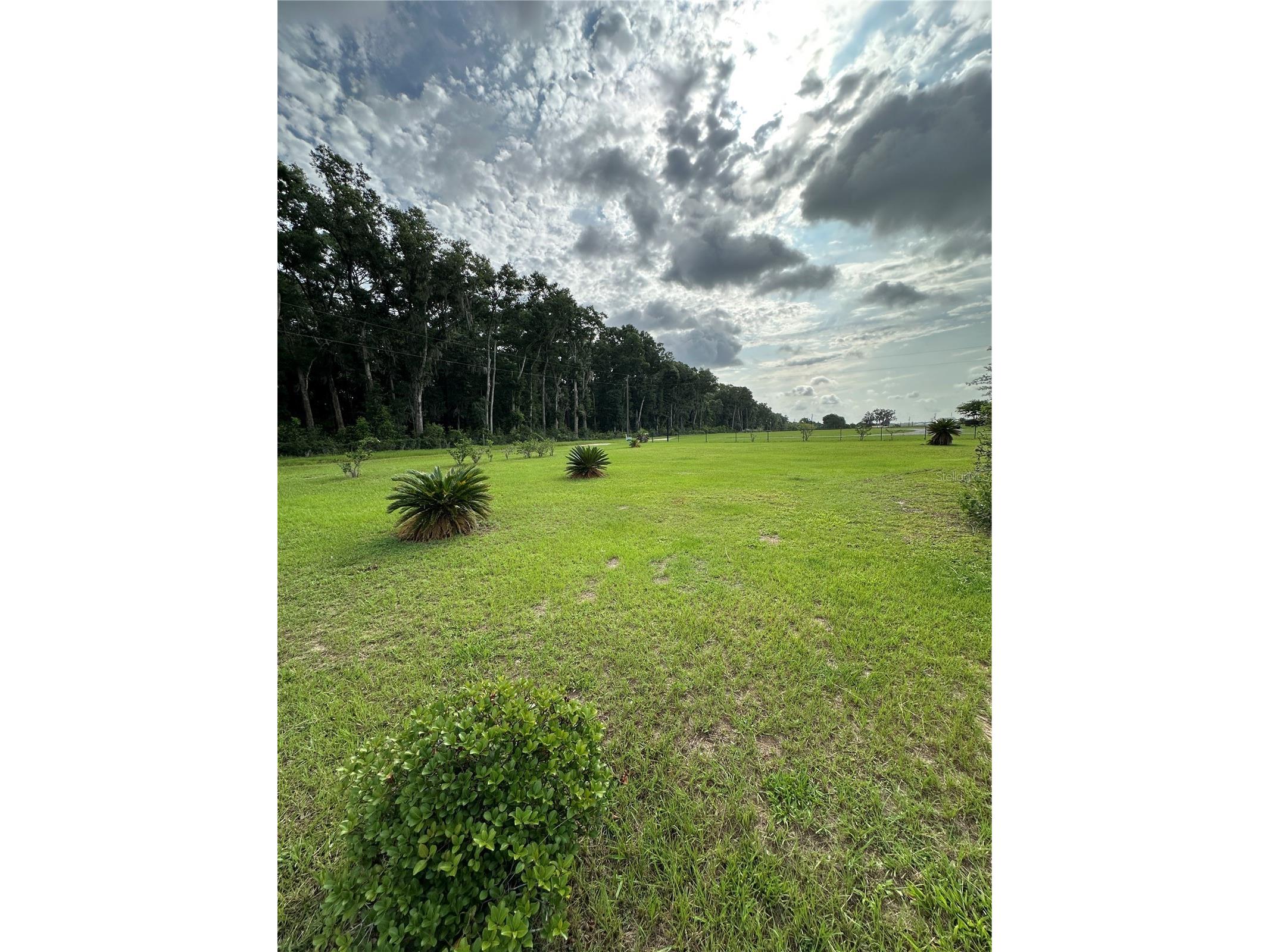 4850 SW 80th Avenue Ocala FL 34481 G5114044 image26