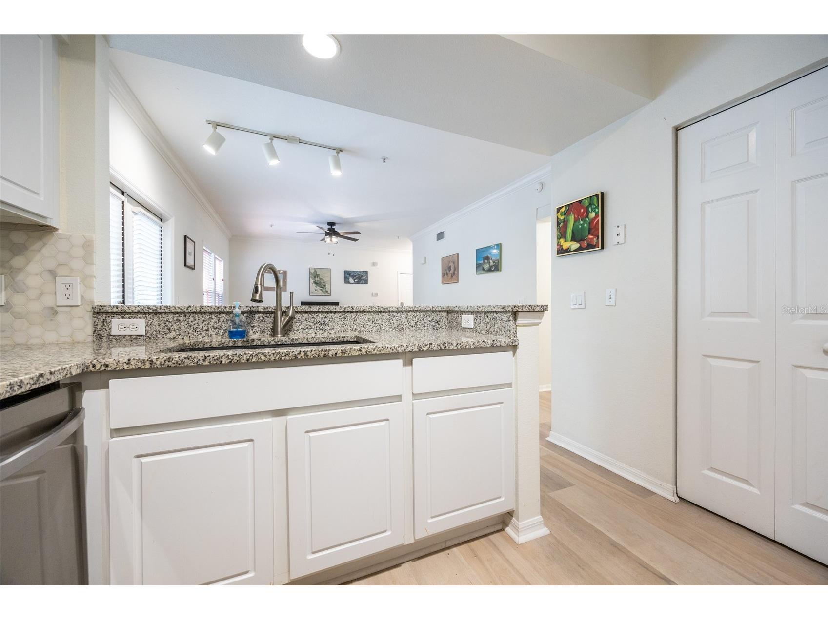 4850 SW 91st Terrace #P201 Gainesville FL 32608 GC531126 image17