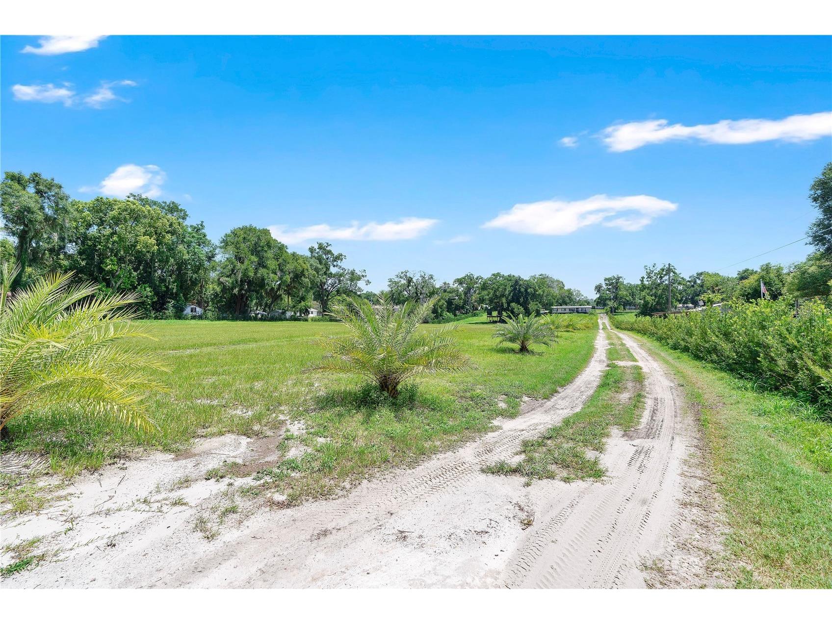 4850 W Ponkan Road Apopka FL 32712 O6422335 image7