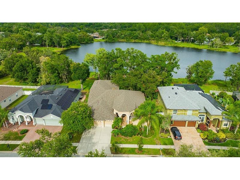 4850 Walnut Ridge Road Land O Lakes FL 34638 TB8480021 image1