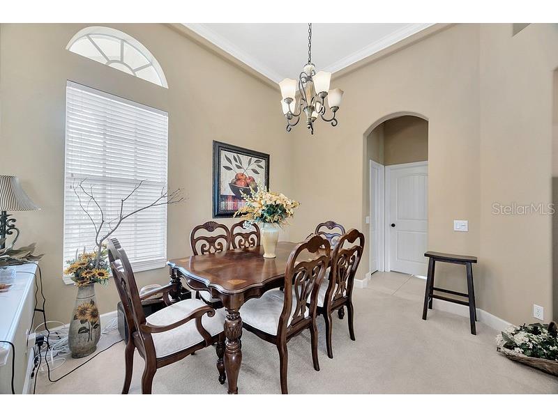 4850 Walnut Ridge Road Land O Lakes FL 34638 TB8480021 image11