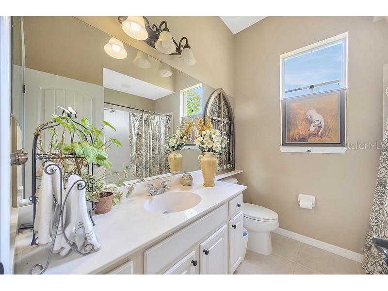 4850 Walnut Ridge Road Land O Lakes FL 34638 TB8480021 image18