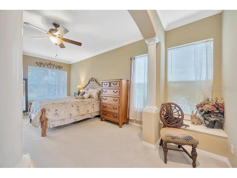 4850 Walnut Ridge Road Land O Lakes FL 34638 TB8480021 image22