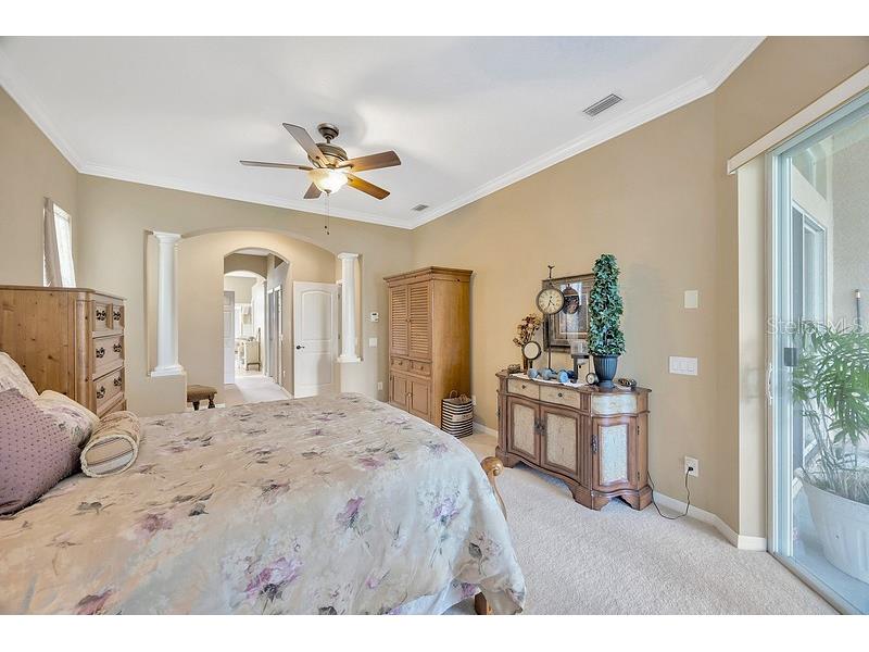 4850 Walnut Ridge Road Land O Lakes FL 34638 TB8480021 image23