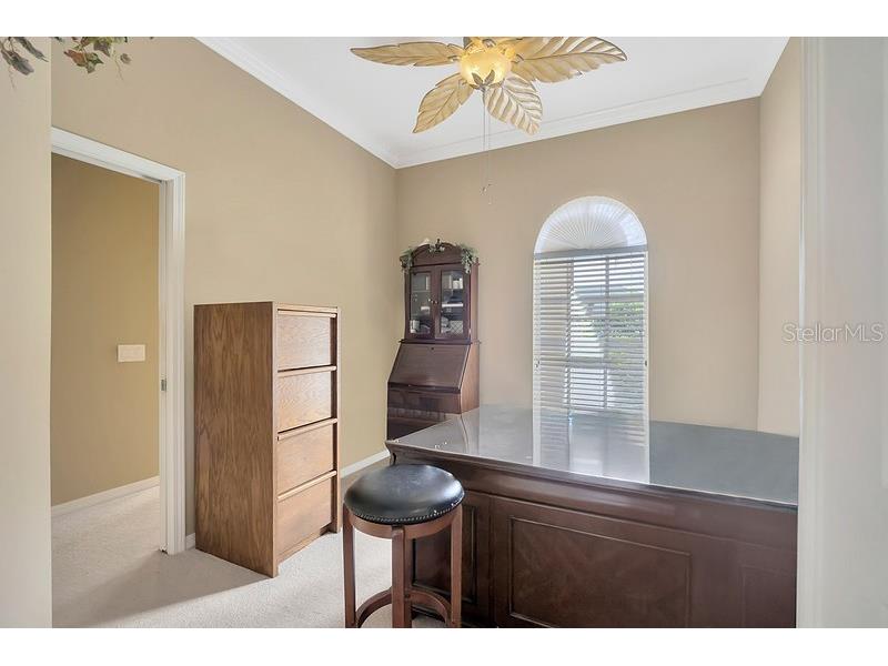 4850 Walnut Ridge Road Land O Lakes FL 34638 TB8480021 image30