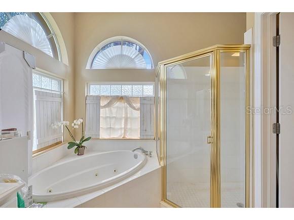 4850 Walnut Ridge Road Land O Lakes FL 34638 TB8480021 image32