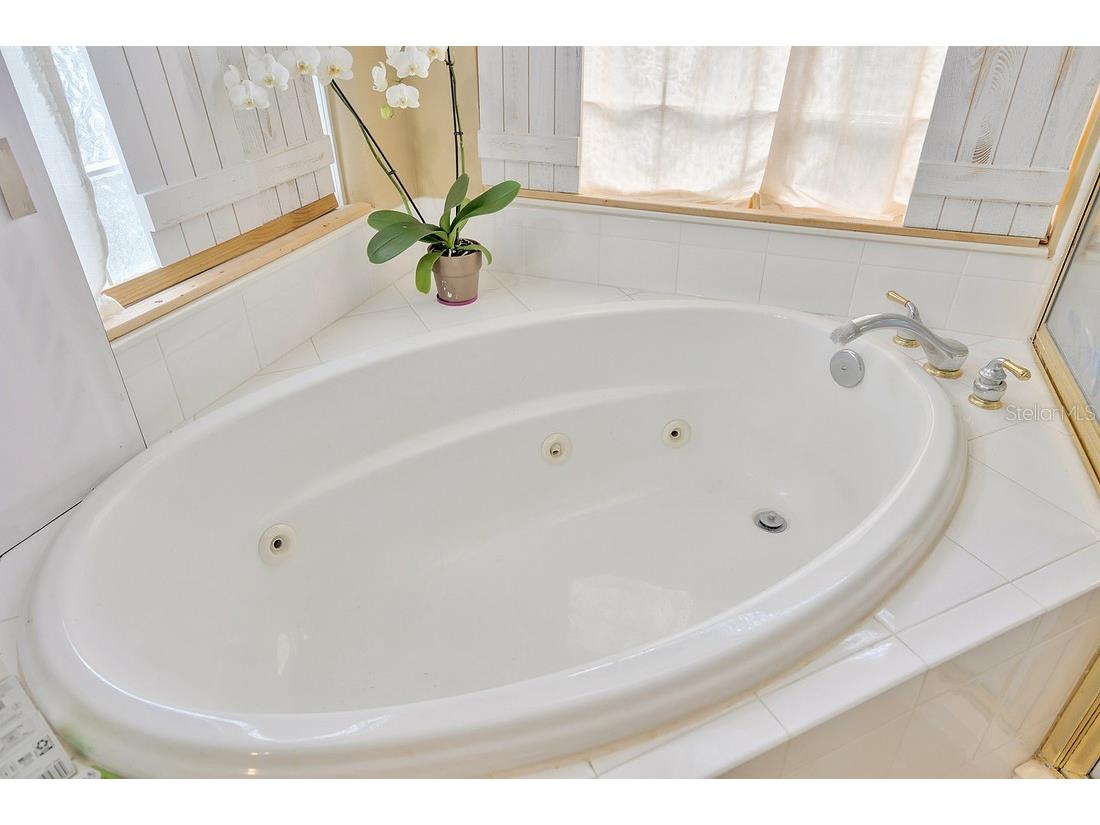 4850 Walnut Ridge Road Land O Lakes FL 34638 TB8480021 image33