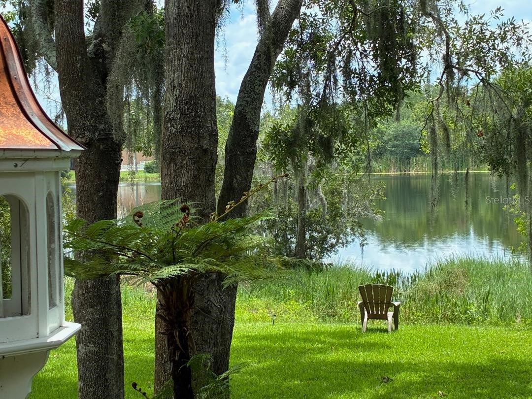 4850 Walnut Ridge Road Land O Lakes FL 34638 TB8480021 image41