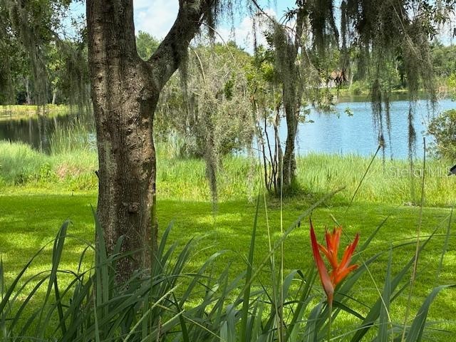 4850 Walnut Ridge Road Land O Lakes FL 34638 TB8480021 image42