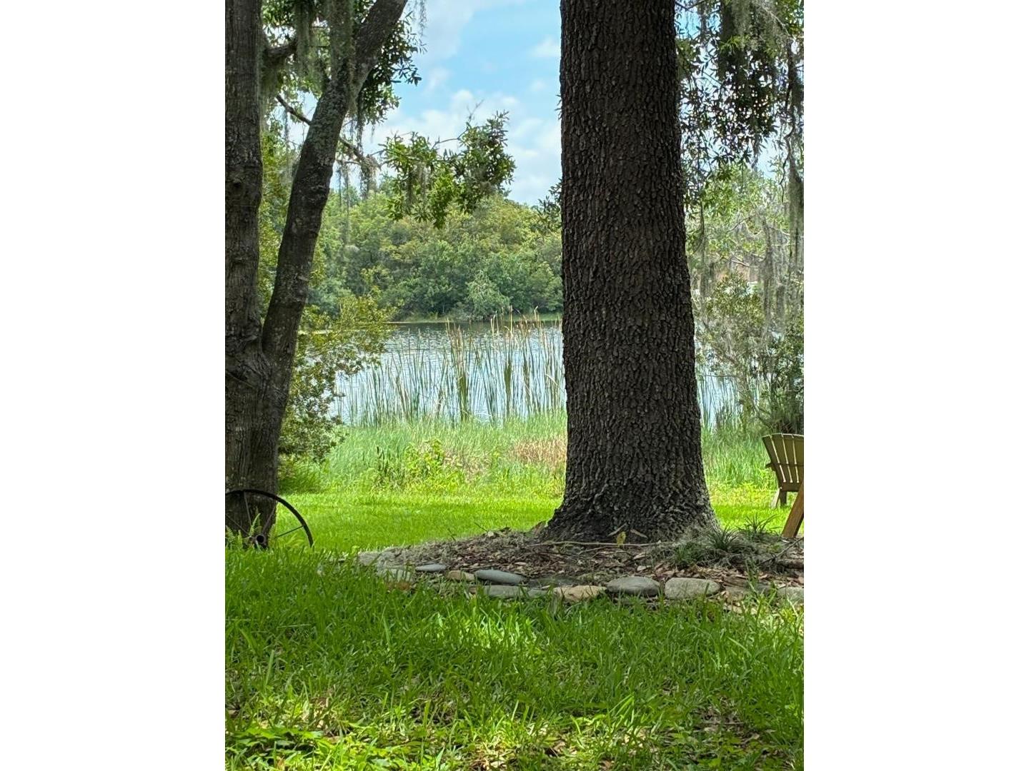 4850 Walnut Ridge Road Land O Lakes FL 34638 TB8480021 image44