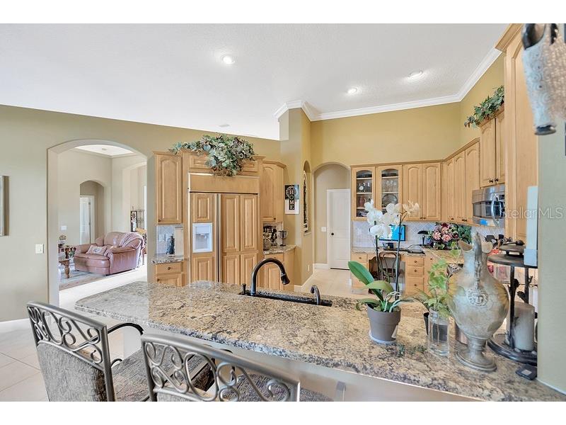 4850 Walnut Ridge Road Land O Lakes FL 34638 TB8480021 image8