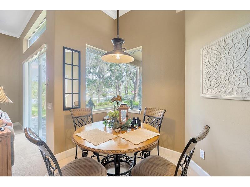 4850 Walnut Ridge Road Land O Lakes FL 34638 TB8480021 image9