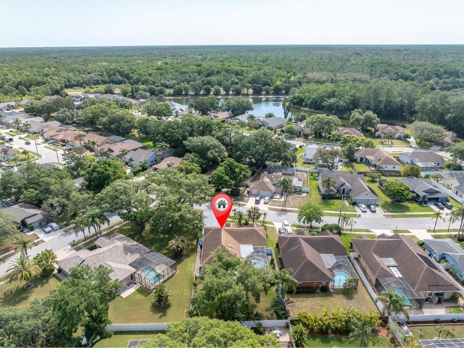 4851 Deer Lodge Road New Port Richey FL 34655 W7885314 image10