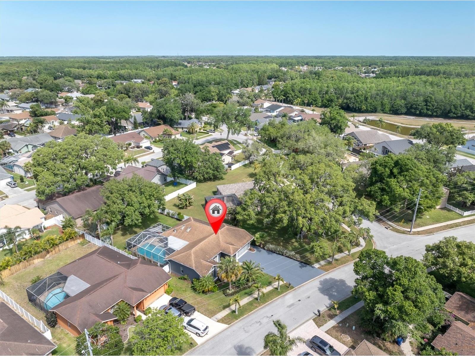 4851 Deer Lodge Road New Port Richey FL 34655 W7885314 image3