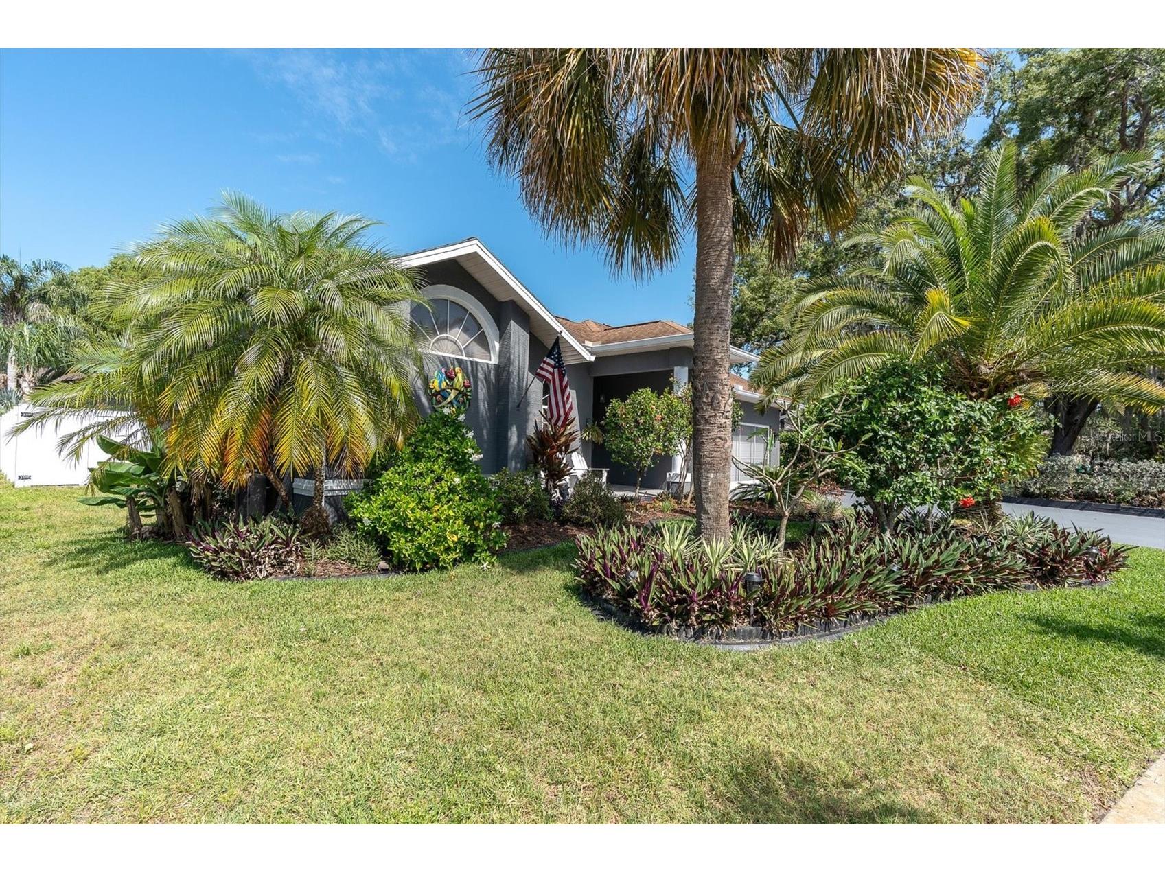 4851 Deer Lodge Road New Port Richey FL 34655 W7885314 image9