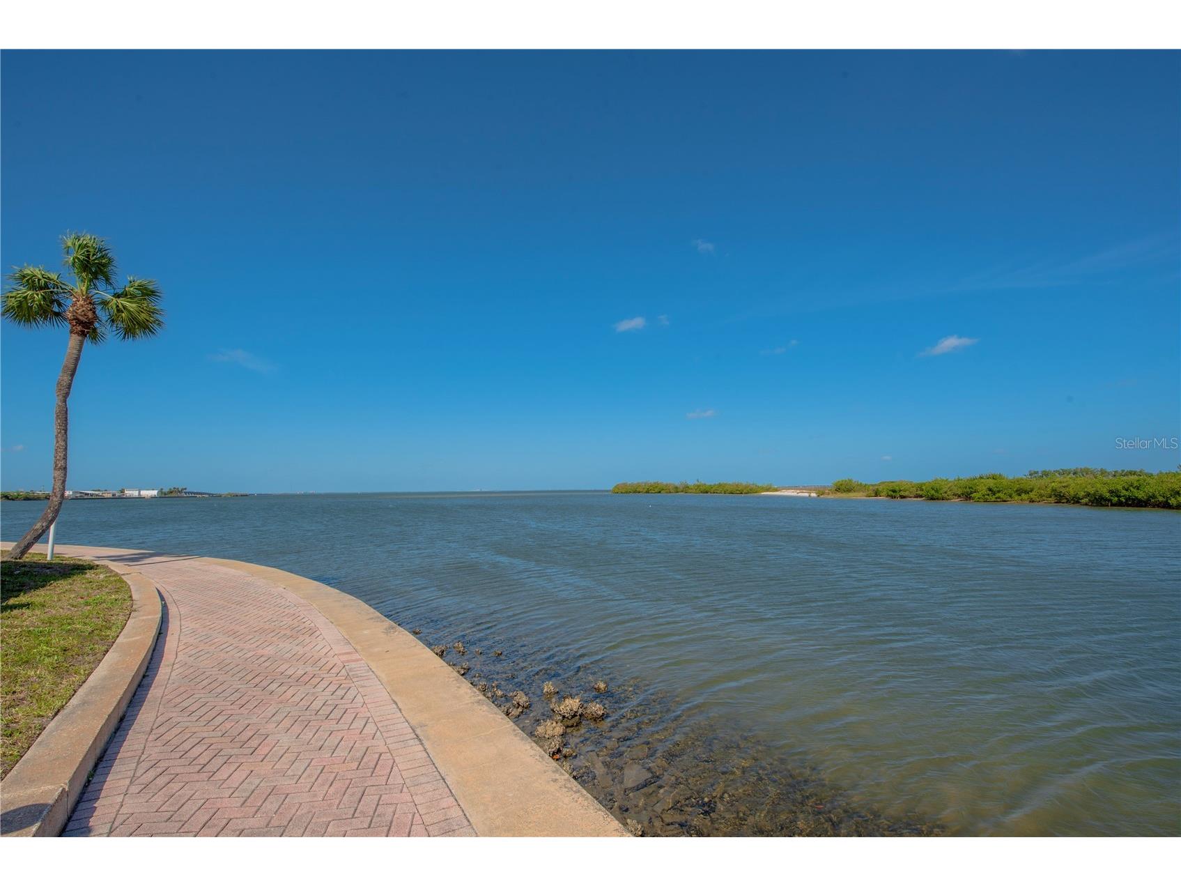 4851 W Gandy Boulevard #23C Tampa FL 33611 TB8490014 image51