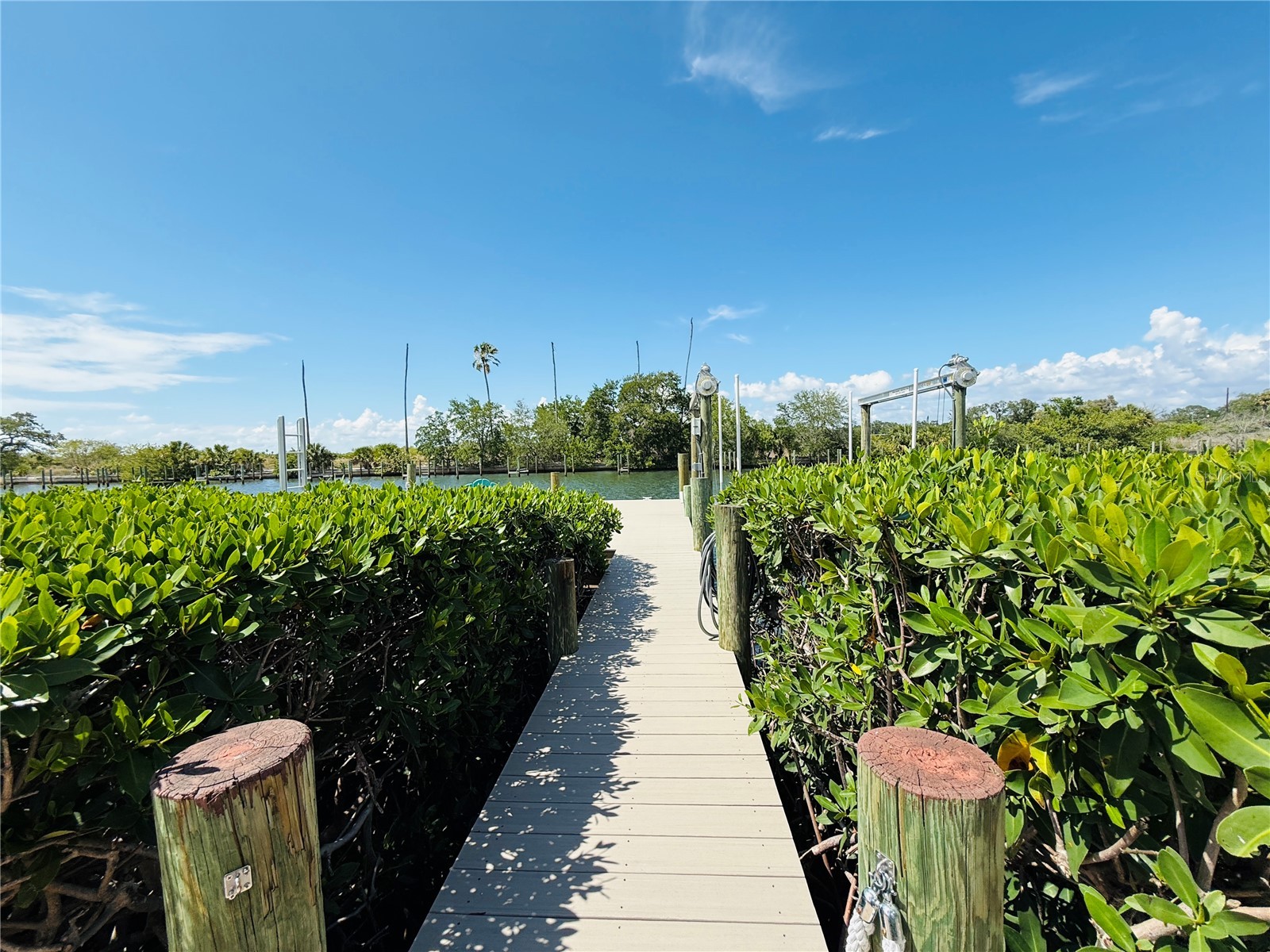 4851 W Gandy Boulevard #5C Tampa FL 33611 TB8514613 image33