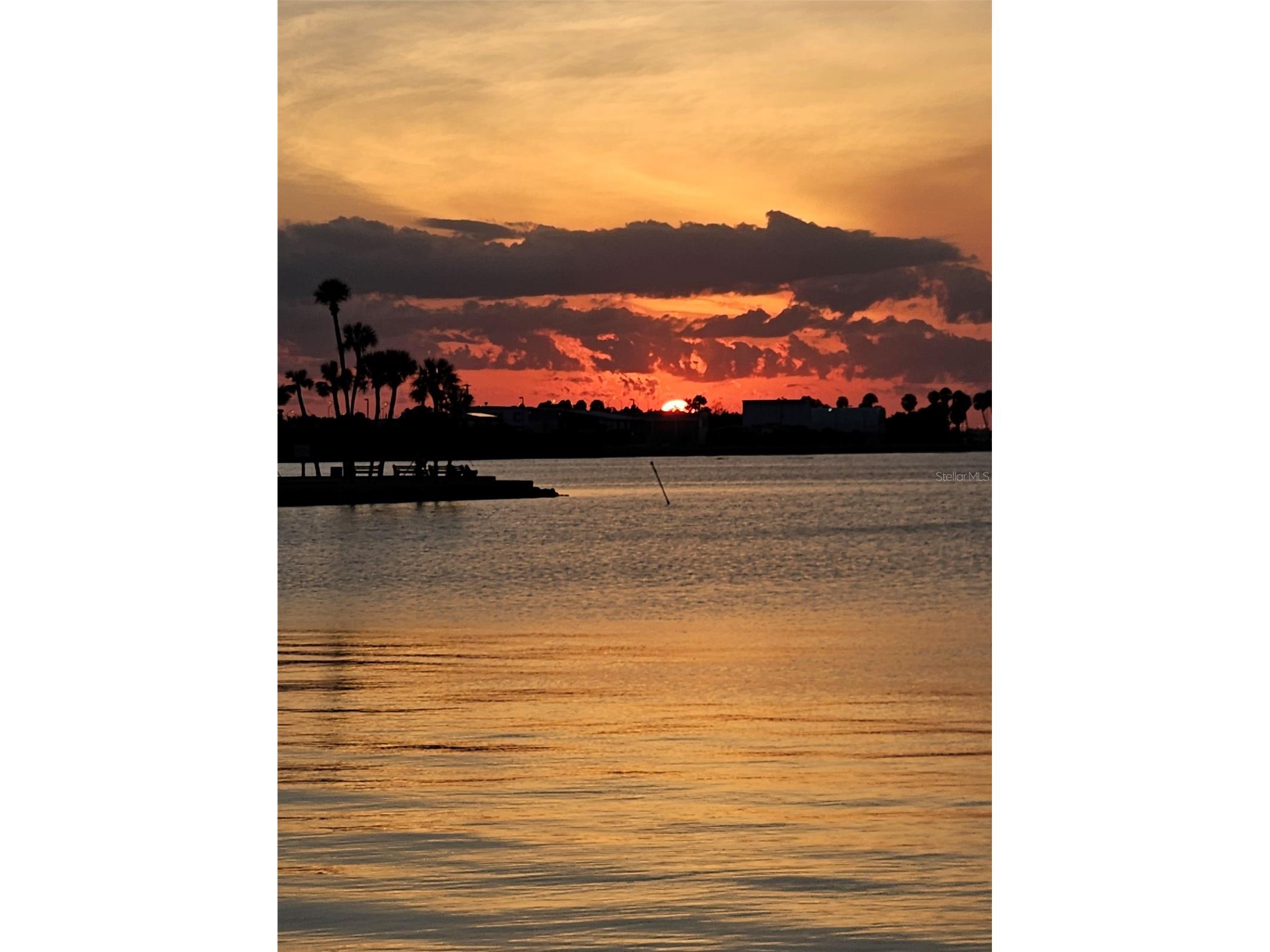 4851 W Gandy Boulevard #5C Tampa FL 33611 TB8514613 image60